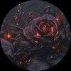 blacken_roses